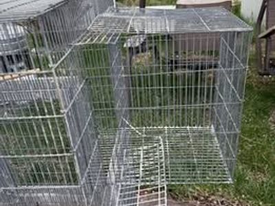 Giant Bird/Animal Cage