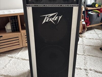 Vintage Peavey T-300 PA Column Speaker – 8 Ohm