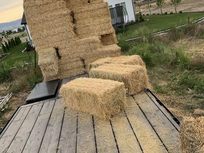 Alfalfa hay with some June grass