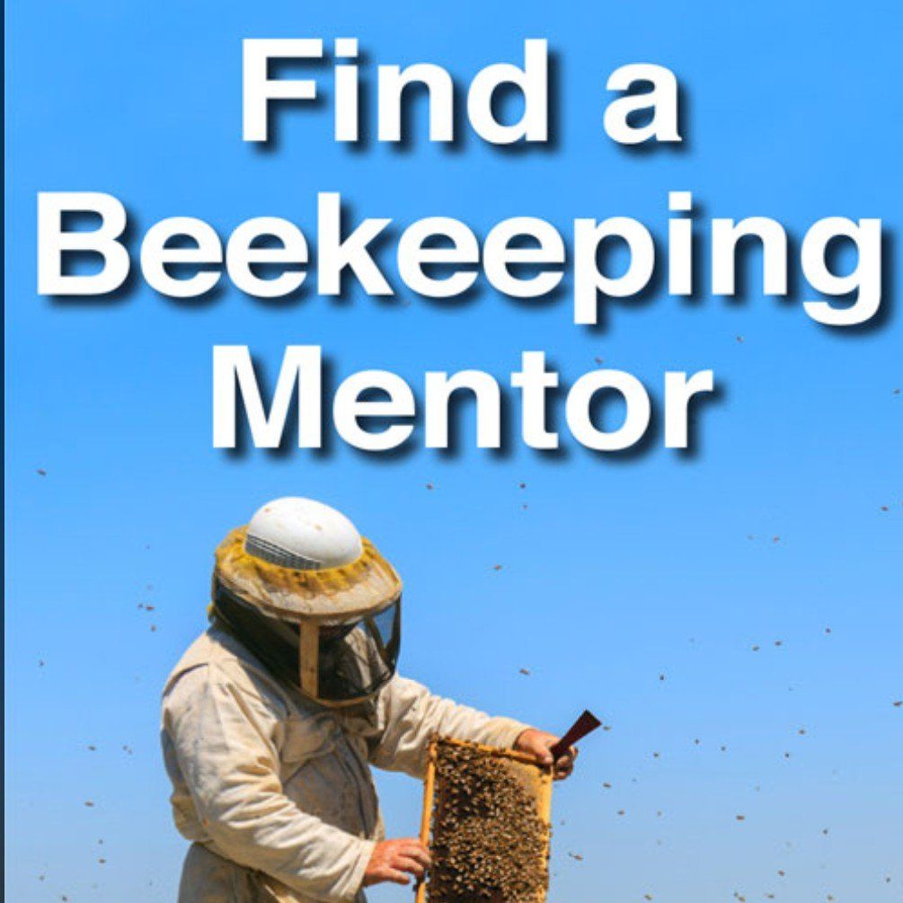 beekeeping classes mentorship