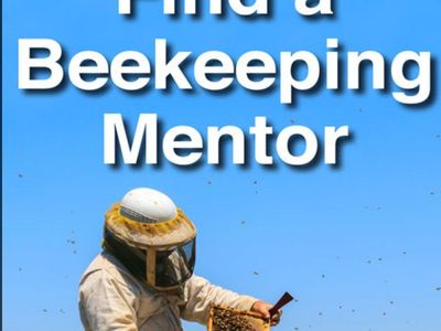 beekeeping classes mentorship