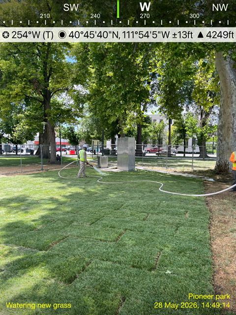 FRESH SOD