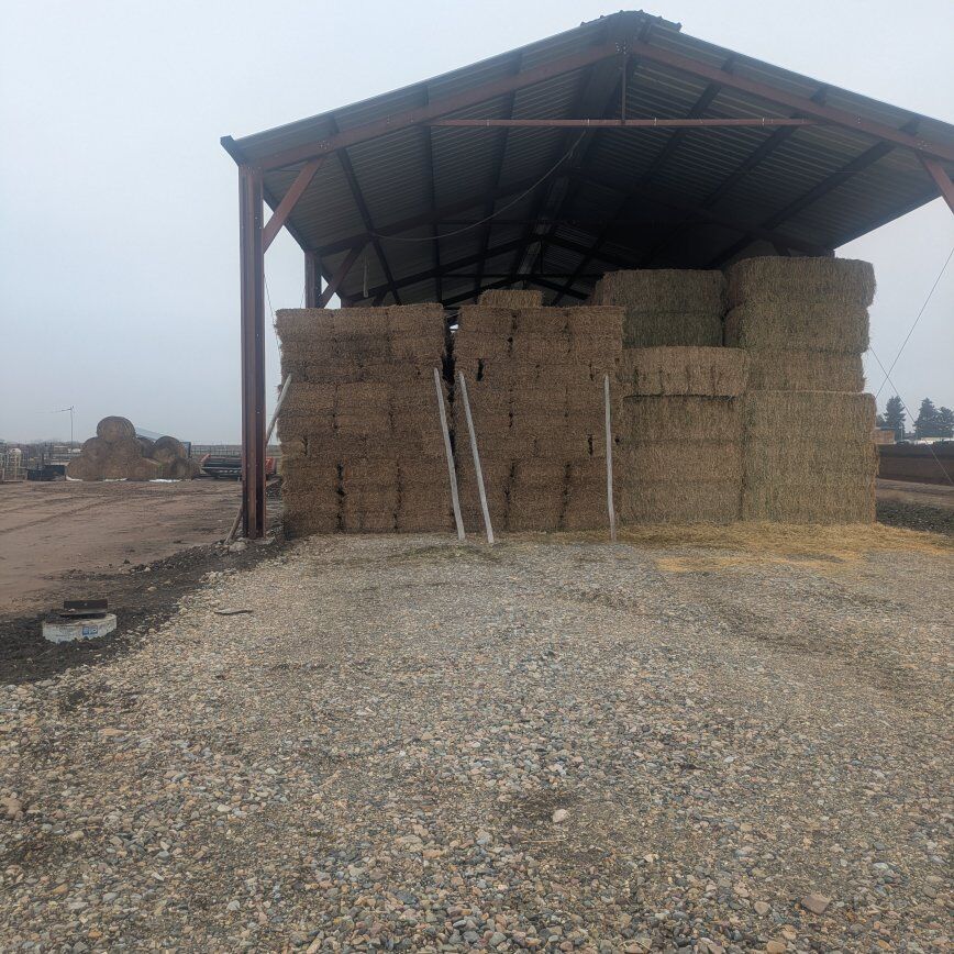 3rd crop Alfalfa Hay