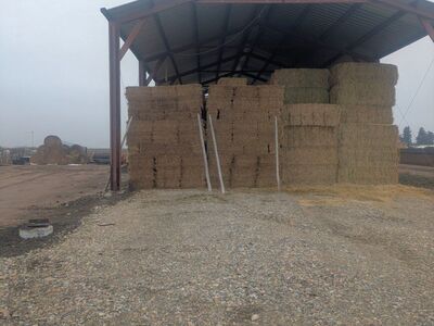 3rd crop Alfalfa Hay