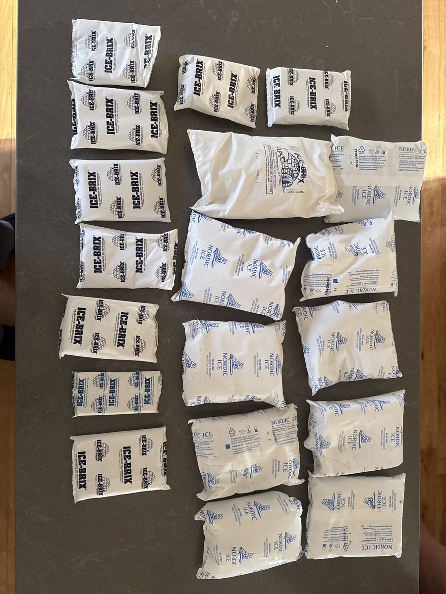 Reuseable Ice Packs - Free