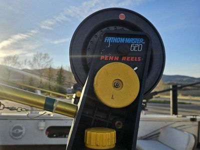 Manual Downriggers by Penn