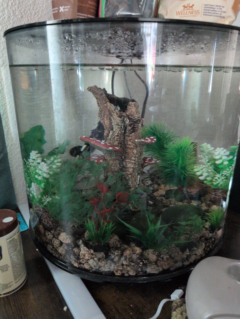 cylindrical Tank