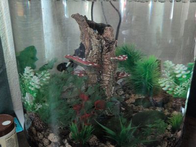 cylindrical Tank