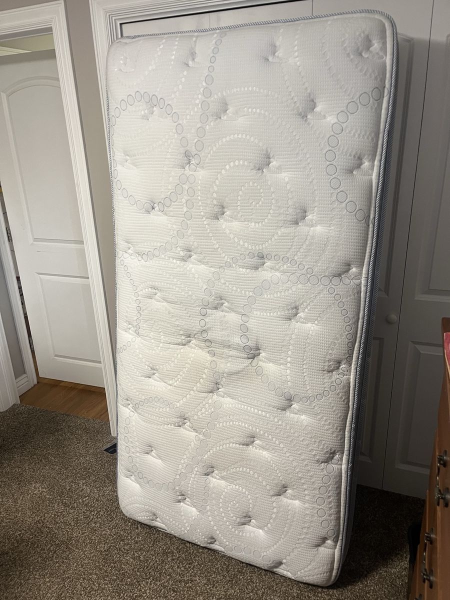 Serta Perfect Night de Vanny Twin Mattress - Comfortable Back Pain Relief & Body Support