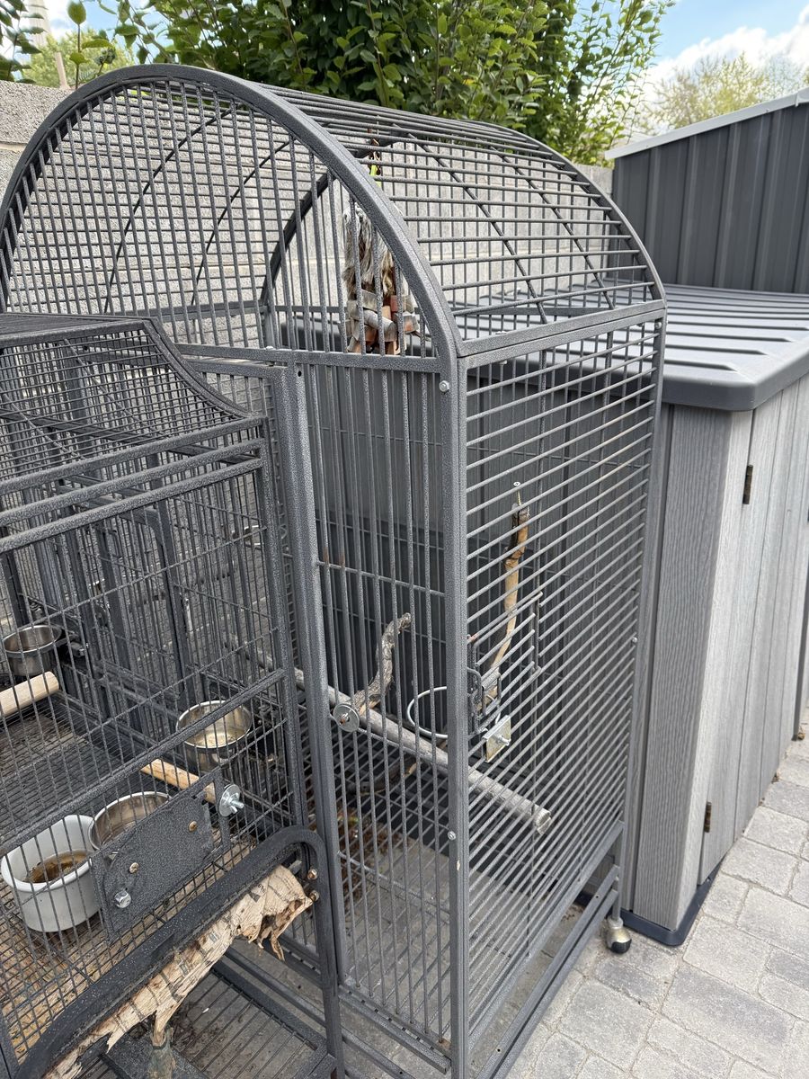 Large Macaw Bird Cages