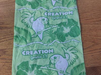 Creation Genesis 1:1 Parrot & Floral Light Green Tube Scarf/Bandana