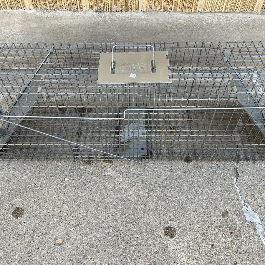 Havahart Live Animal Cage Trap - Two Door