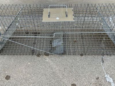 Havahart Live Animal Cage Trap - Two Door