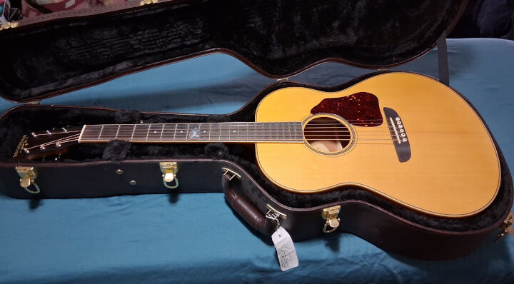 2018 Vintage Limited Edition Washburn RSD-135D guitar with case