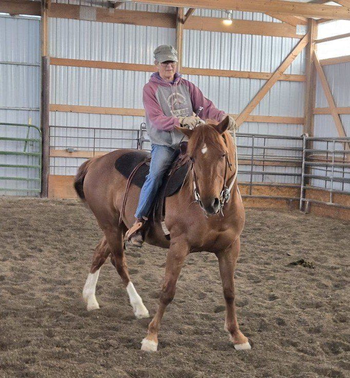 11 year old smaller mare