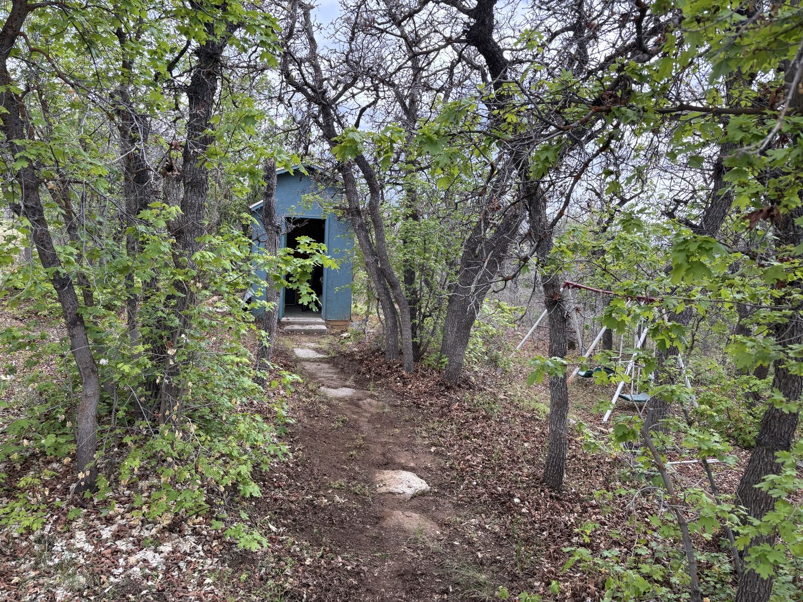 Main image 13