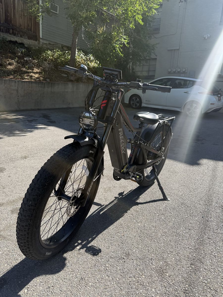 FREESKY swift horse e bike