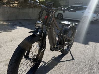 FREESKY swift horse e bike
