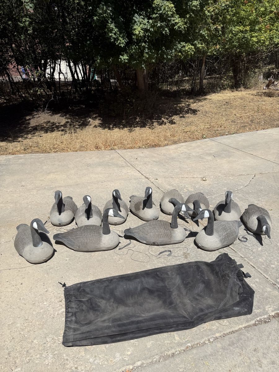 Used Duck/Goose Decoys - Set of 12 with Carrying Bag - Realistic Hunting Decoys