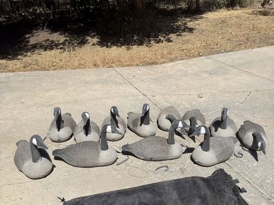 Used Duck/Goose Decoys - Set of 12 with Carrying Bag - Realistic Hunting Decoys