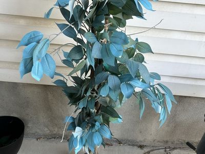 Artificial Decorative Tree Faux Plant Blue & Green Leaves