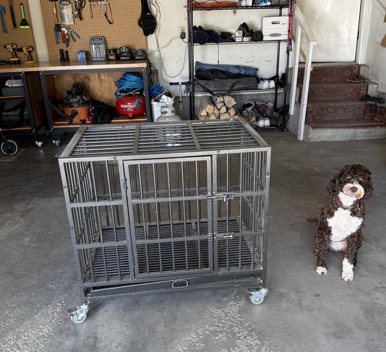 Heavy Duty Metal Dog Crate (W37" × D25" × H29") - Great Shape