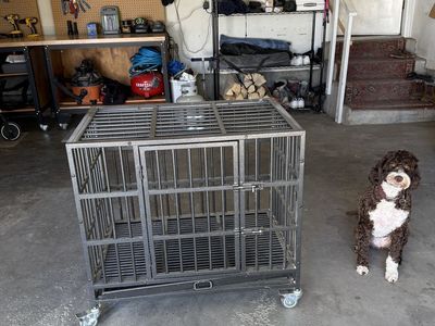 Heavy Duty Metal Dog Crate (W37" × D25" × H29") - Great Shape