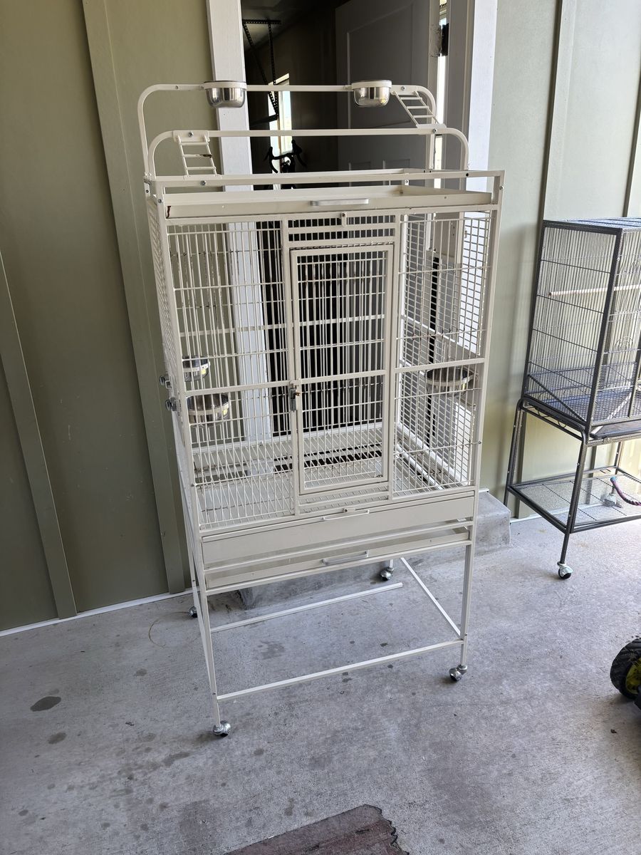 Parrot Cage
