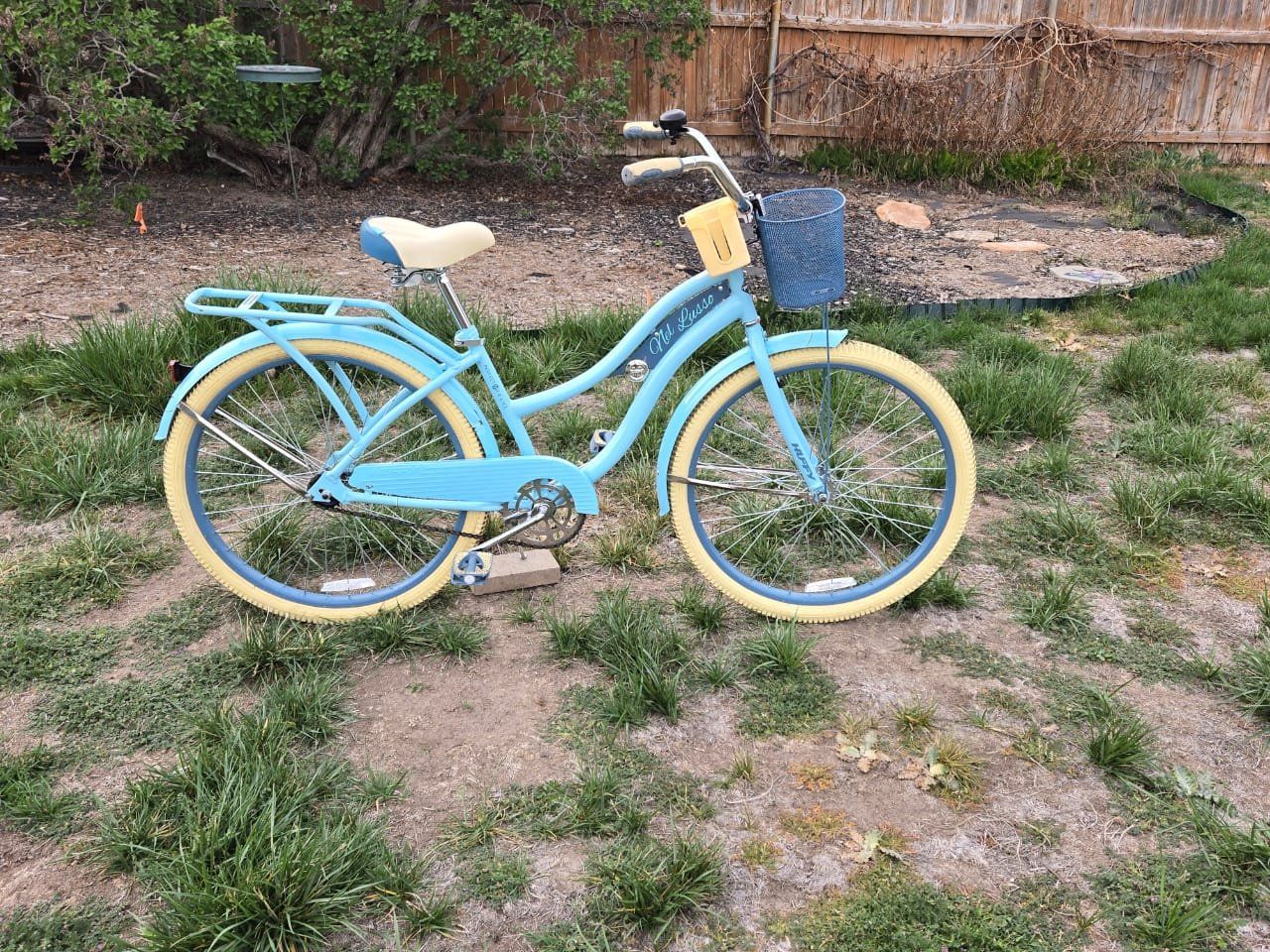 Beautiful Cruiser Bike