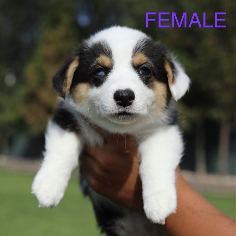 Main image 9