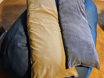 Siesta Sac - 6' & 2 - 6' body pillows - like new