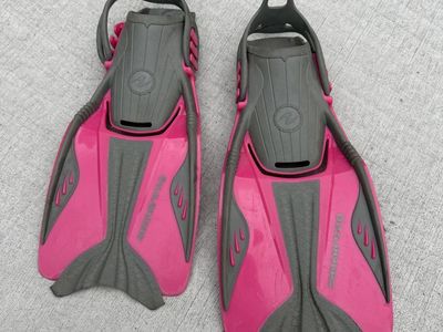 Flippers