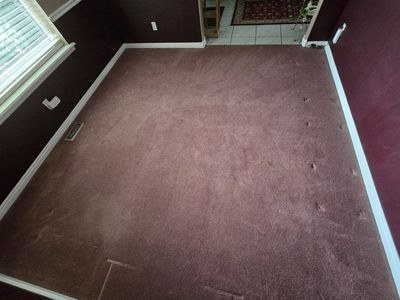 Used Mauve Carpet great condition 11 x 11