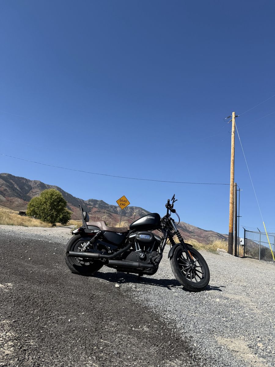 2014 harley davidson iron 883