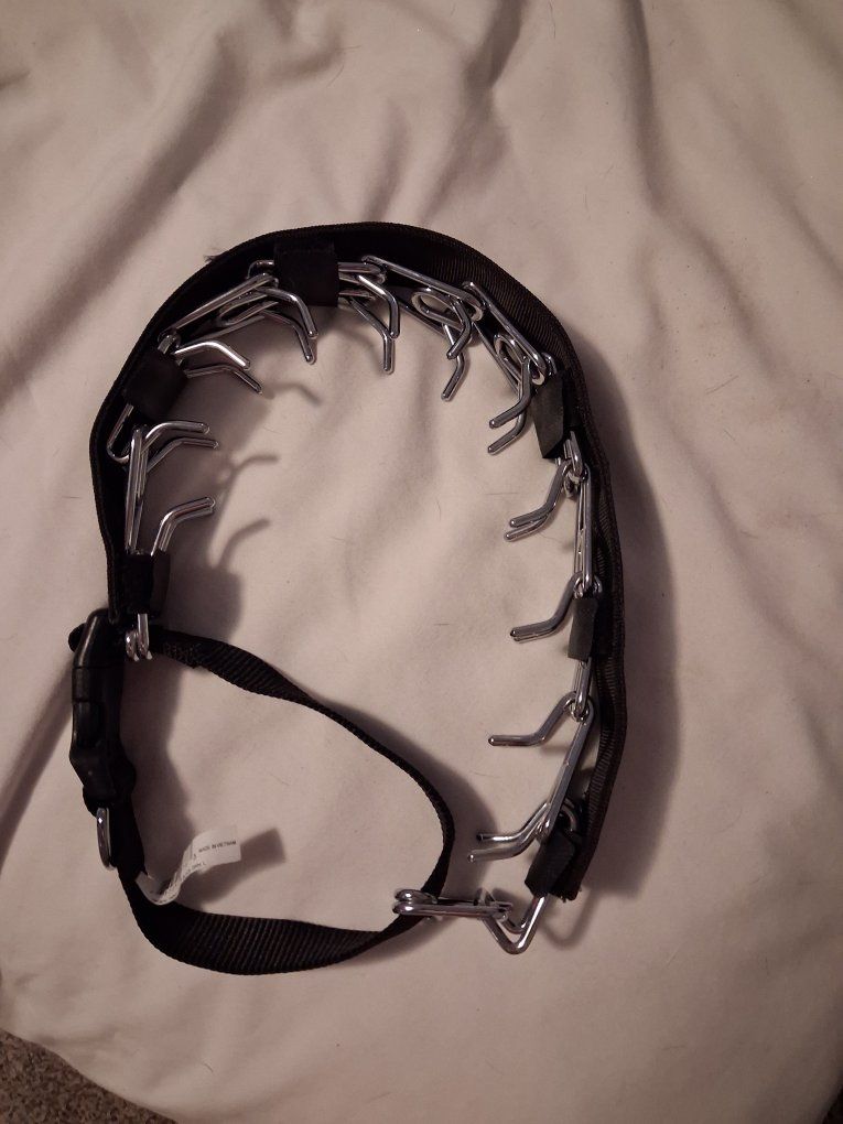 Black Prong Dog Training Collar