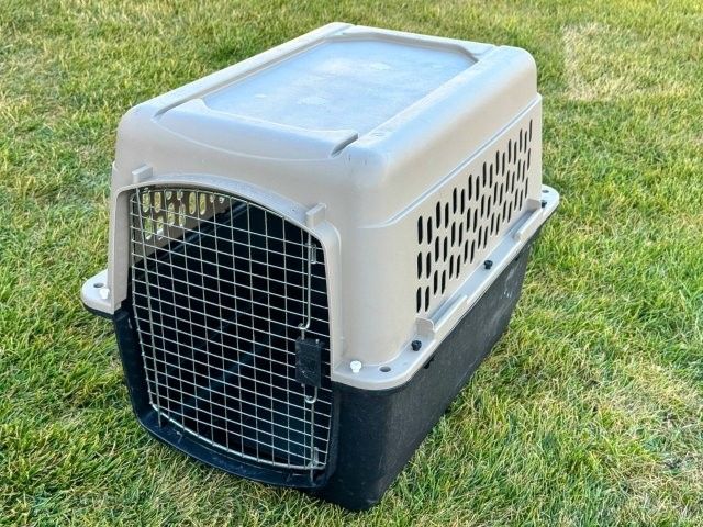 Dog kennel carrier 32"L Intermediate
