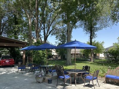 Umbrella Fabric (green)