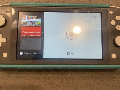 Nintendo switch lite