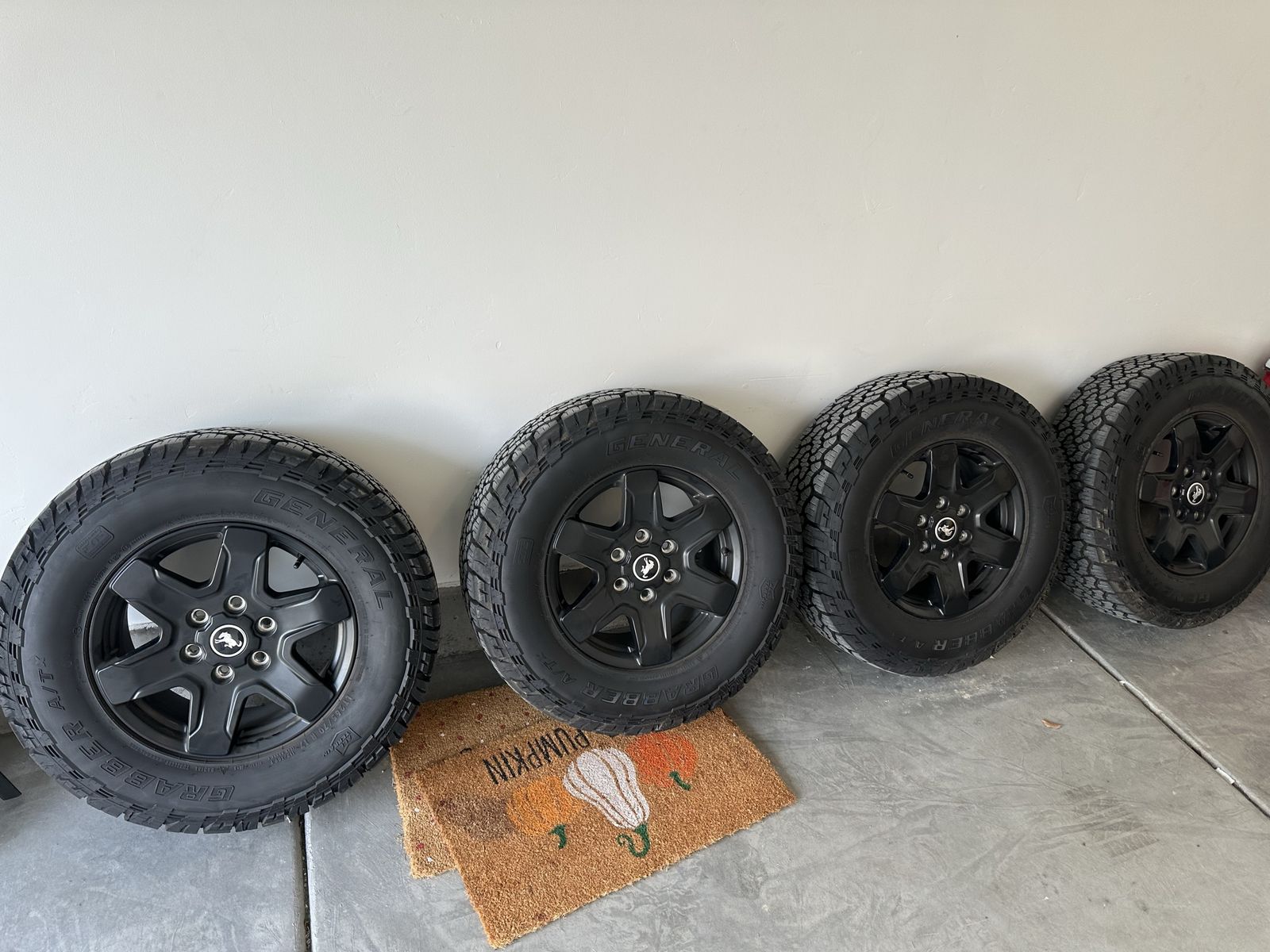 18 inch Bronco OEM wheels and tires