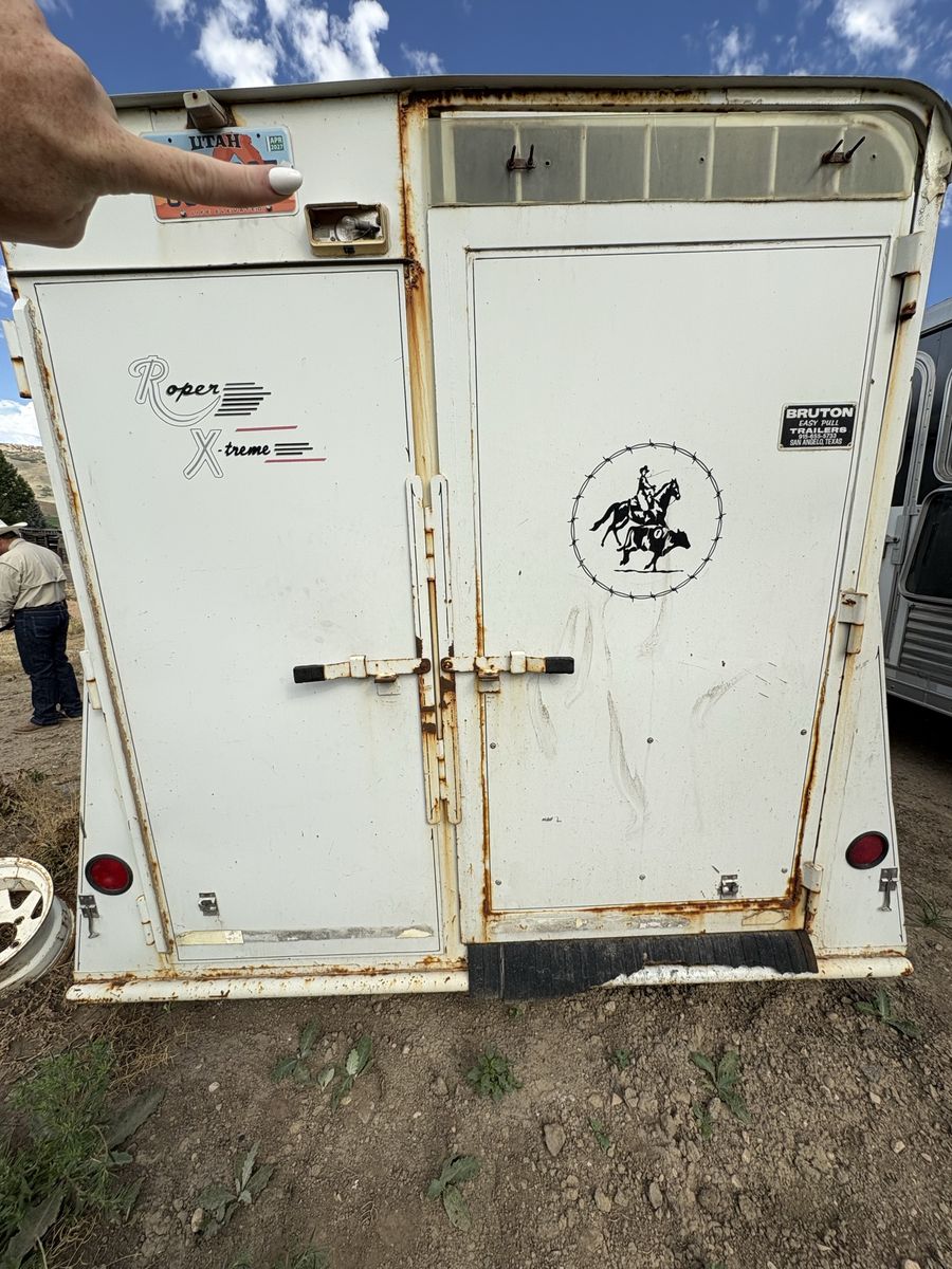 Main image 13