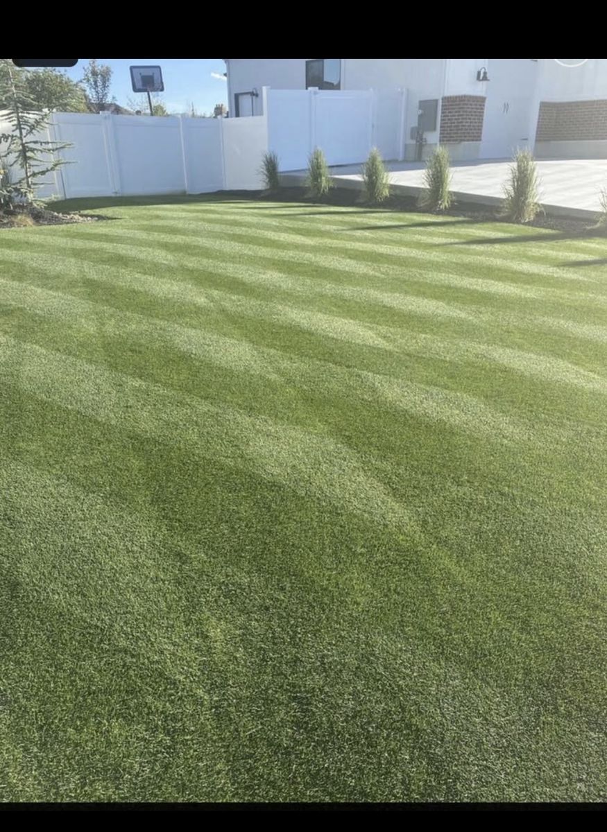 Lawn leveling 