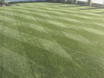 Lawn leveling