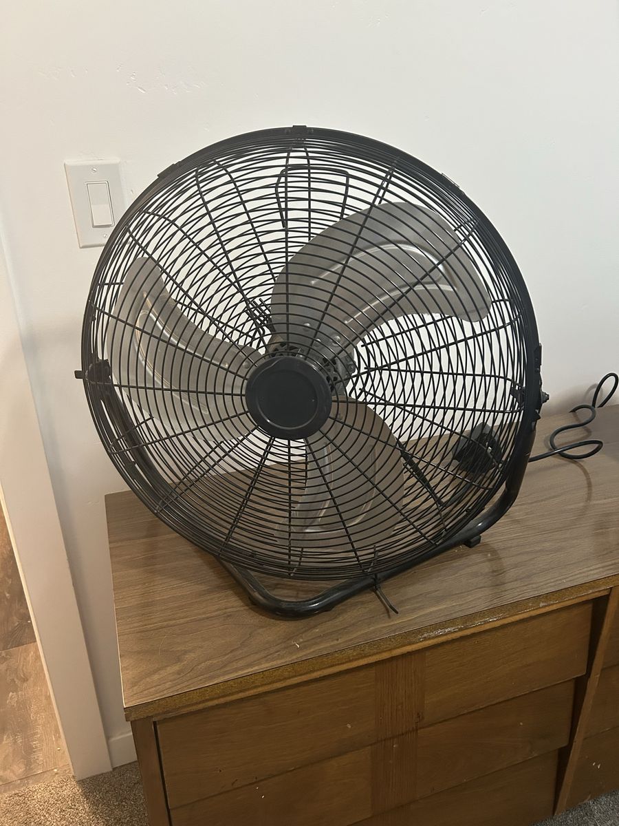 Fan