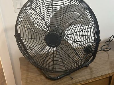 Fan