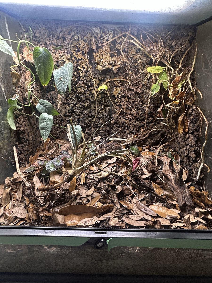Exoterra terrariums 24x18x24