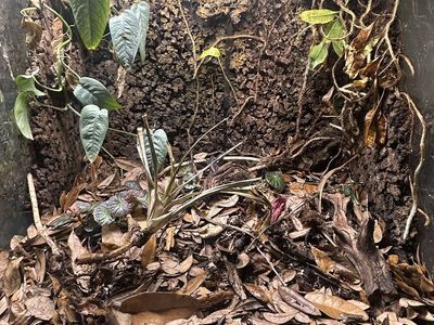 Exoterra terrariums 24x18x24
