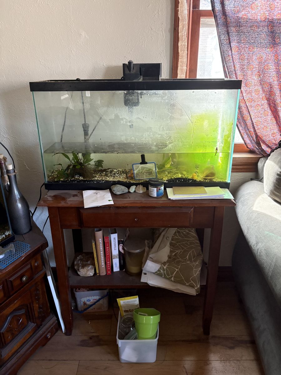 Fish And Tank