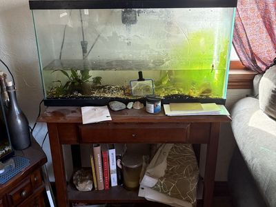 Fish And Tank