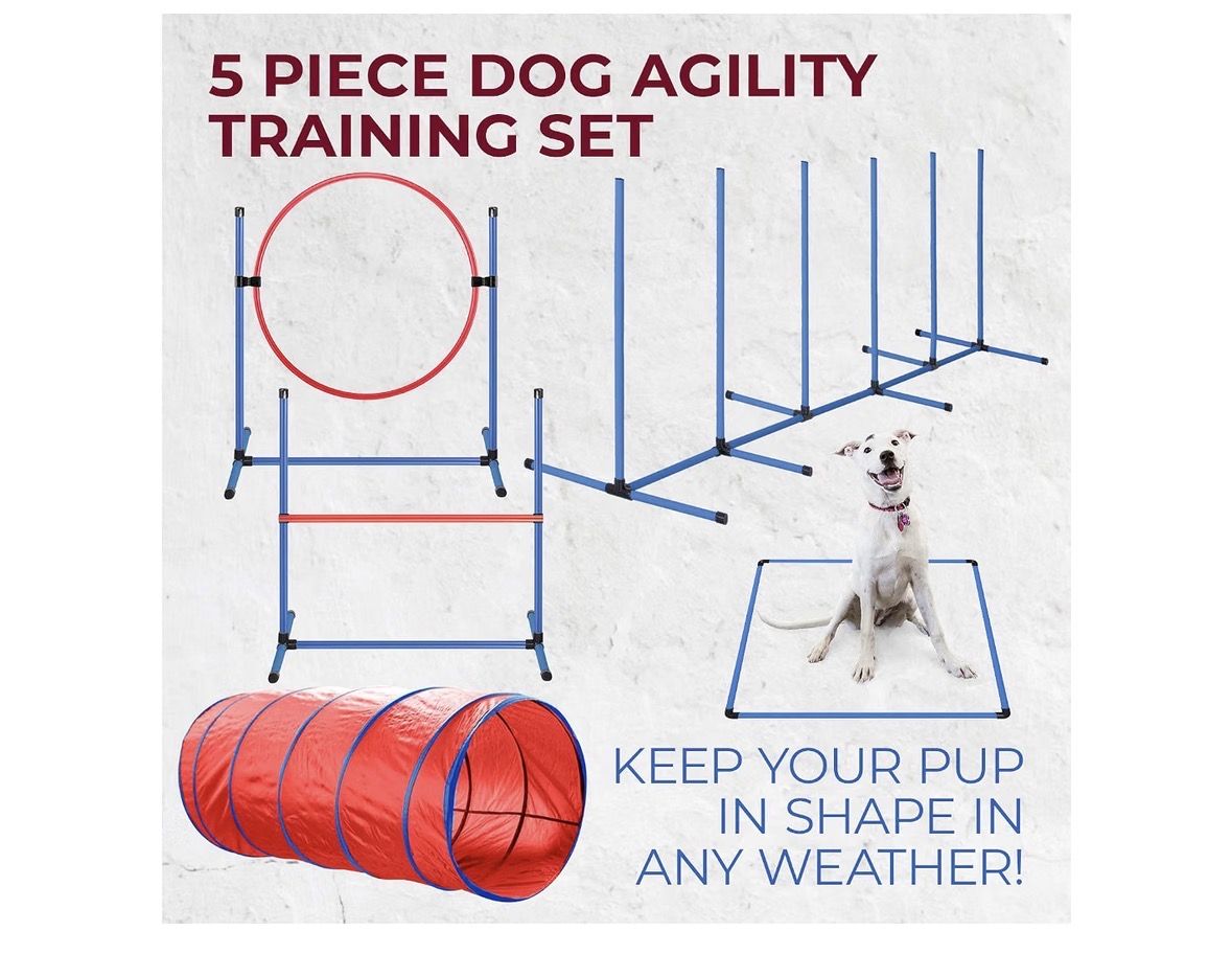 Cheering Pet 5-Piece Dog Agility Training Kit - Tunnel, Jumps & Weave Poles