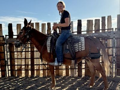 Molly Mule